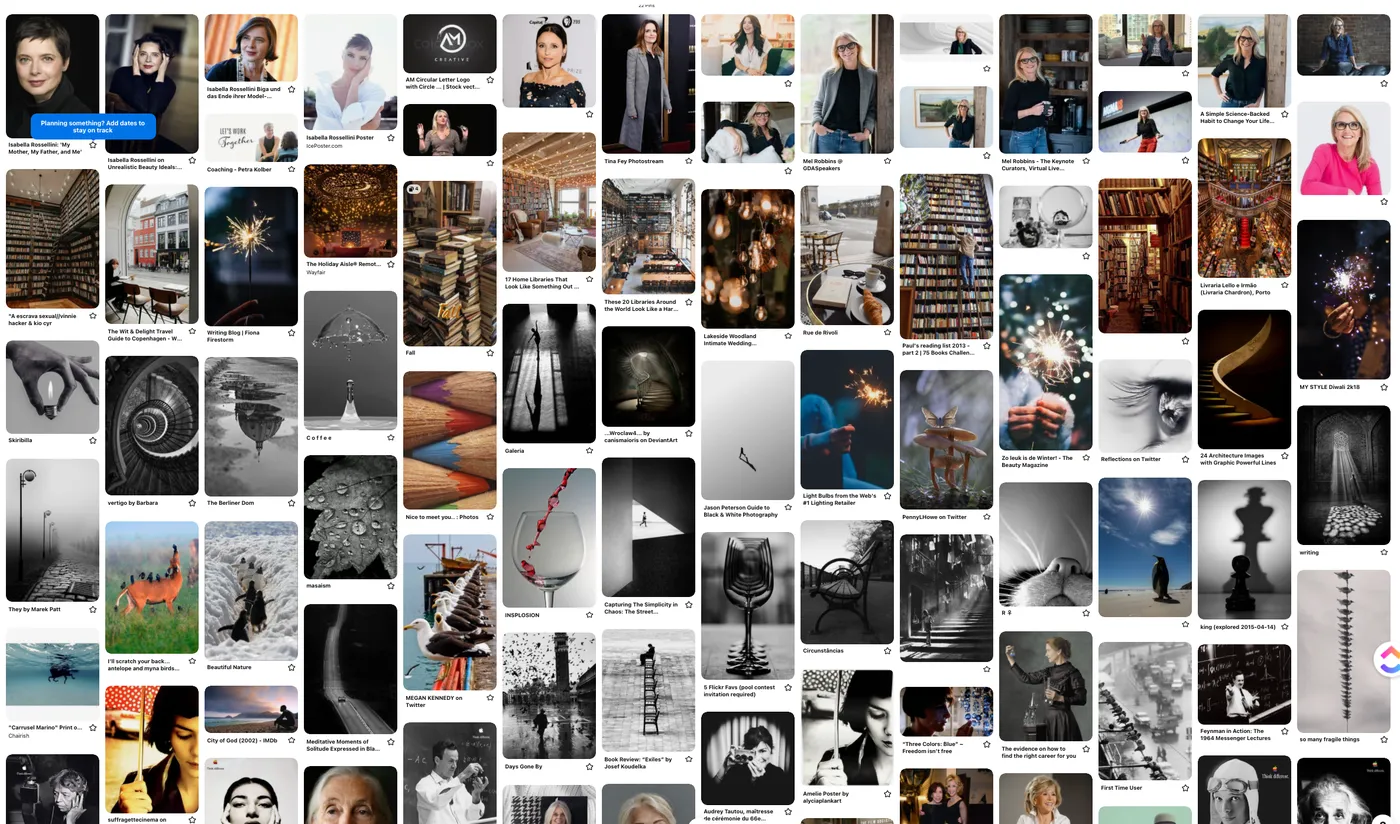 Mood board by Ana Melikian for her personal branding photography session with Series A Photography